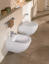 Унитаз подвесной Villeroy & Boch Subway Plus 6600 10R1 alpin