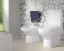 Унитаз-компакт Villeroy & Boch Sentique 5625 10R1 alpin